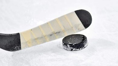Шайба и клюшка для хоккея