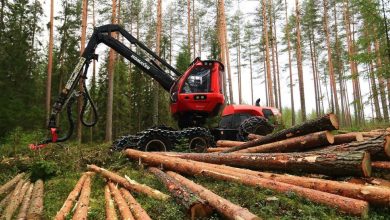 деревообработка, лес, древесина, Беларусь, Китай