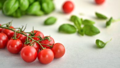 Эксперты предупредили об опасности употребления салата из огурцов с помидорами 2