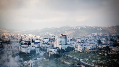 Израиль, Сектор Газа