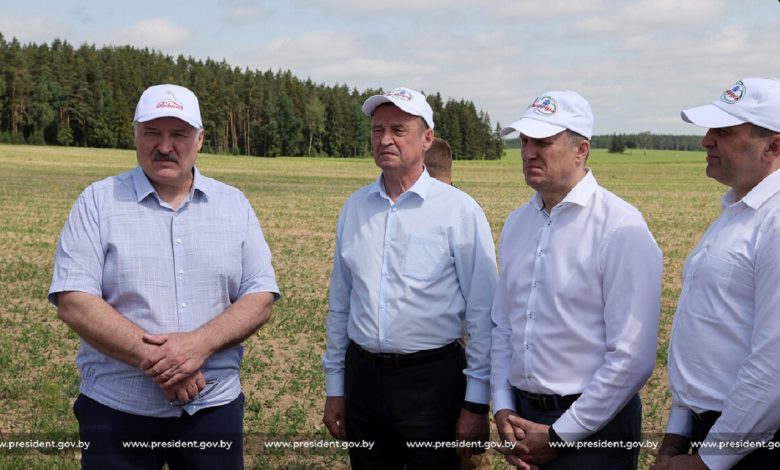 Лукашенко инспектирует поля
