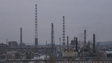 Северодонецк, Азот