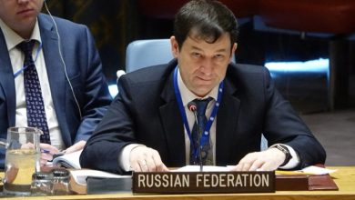 Заместитель постпреда России при ООН Д. Полянский