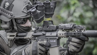 Статистика по иностранным наемникам