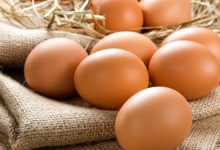 <strong>Медик сообщил, сколько можно есть яиц в неделю без вреда для здоровья</strong> 5