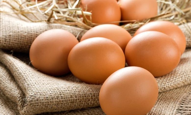 <strong>Медик сообщил, сколько можно есть яиц в неделю без вреда для здоровья</strong> 1