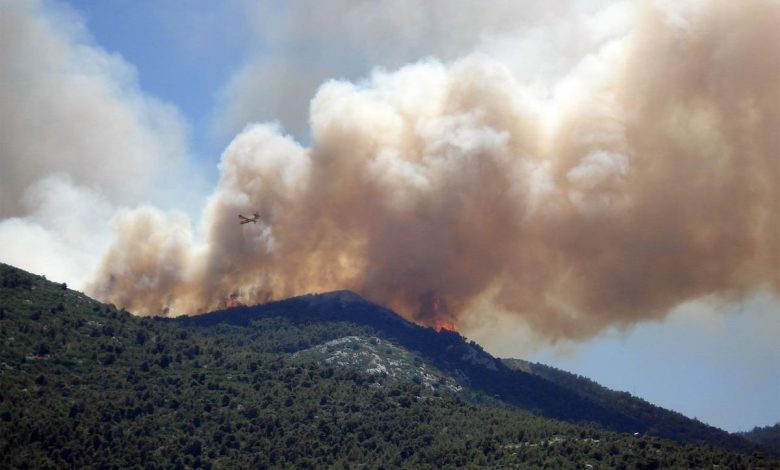 лесной пожар, Турция