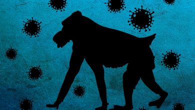 оспа обезьян