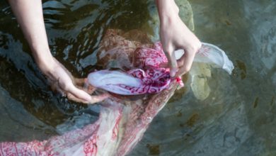 стирка, стиральный порошок