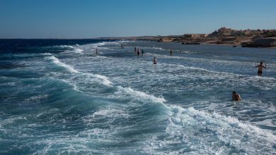 Египет, Хургада, Красное море, акулы