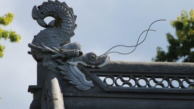 Китай, китайский дракон