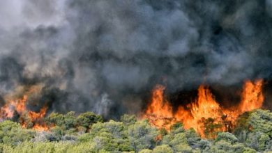 Лесные пожары в Греции
