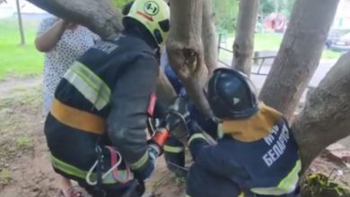 МЧС спасает девочку