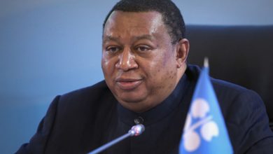 Мухаммед Баркиндо, ОПЕК