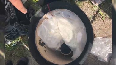 Психотропное вещество, найденное при обыске