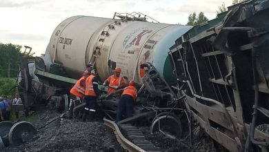 Товарный поезд в Тульской области