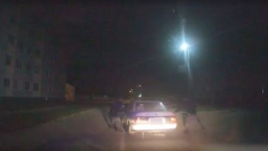 Задержание угонщиков