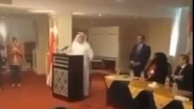 Дипломат в Египте