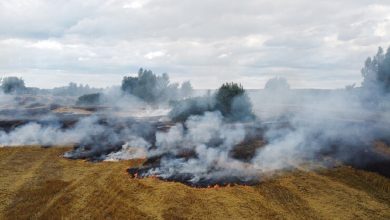 Горящее поле