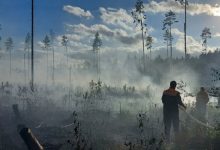 Лесной пожар