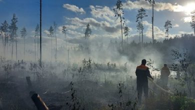 Лесной пожар