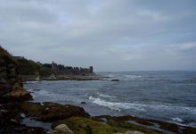 Северное море, Шотландия