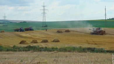 Уборка урожая