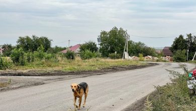 Приграничное село в Белгородской области