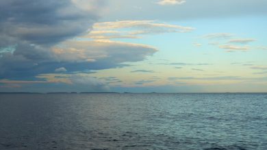 Финский залив