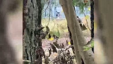 Граница с Польшей