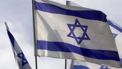 Израильские флаги