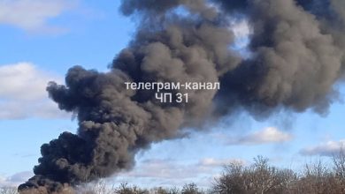 Белгородская область