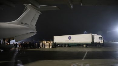 Прибывший в Беларусь гуманитарный груз