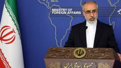 официальный представитель иранского внешнеполитического ведомства Насер Канаани