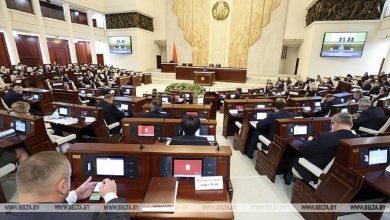 В Беларуси принята поправка, касательно лишения гражданства за экстремизм 3