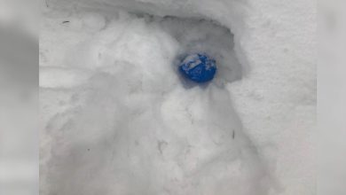 Задержание наркокурьера