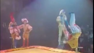 Акробат в Гомеле