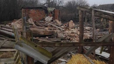 Белгородская область