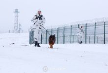 Пограничники