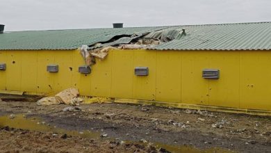 Последствия обстрела в Белгородской области