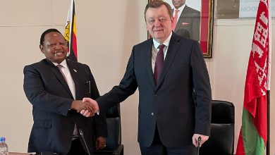Встреча глав МИД Беларуси и Зимбабве