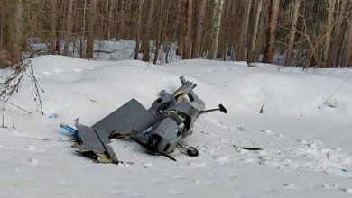 Беспилотник в Подмосковье