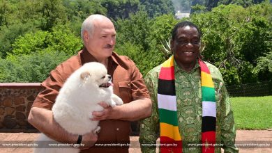 Лукашенко и президент Зимбабве