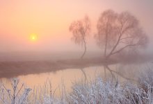 Туман зимой