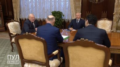 Встреча Лукашенко и Бжания