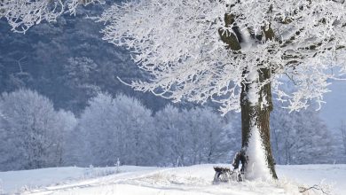 зима, погода