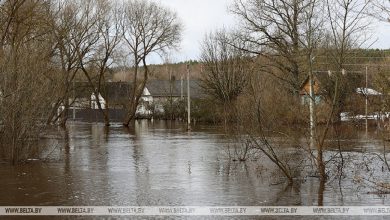 Подтопления