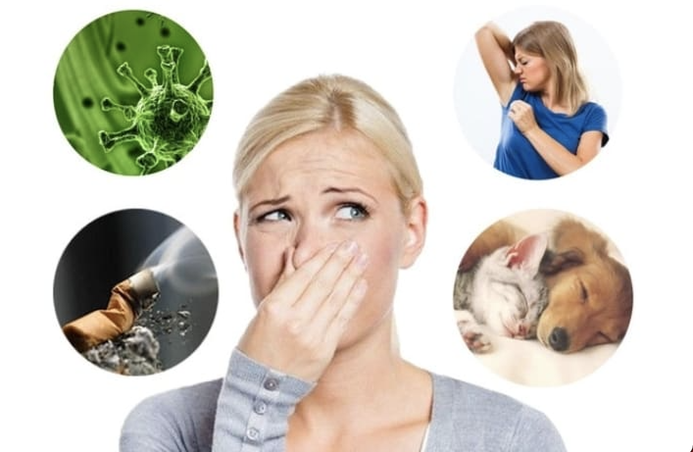 Устранение неприятных запахов в квартире современными методами