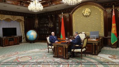 Встреча А. Лукашенко и В. Лукашенко