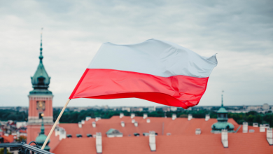 «To nie nasza wojna»: В Польше набирает обороты «Польское антивоенное движение» 17